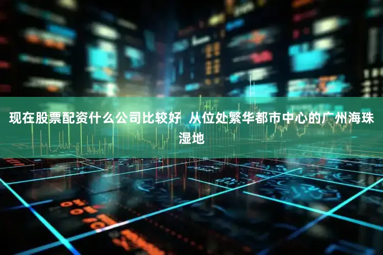 现在股票配资什么公司比较好  从位处繁华都市中心的广州海珠湿地