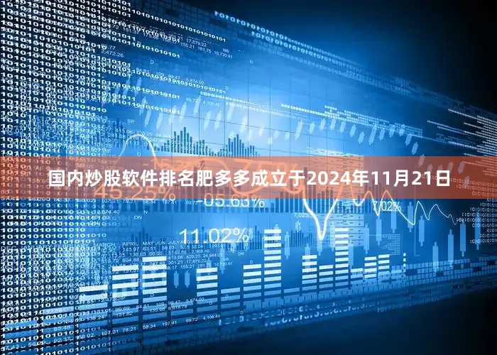 国内炒股软件排名　　肥多多成立于2024年11月21日