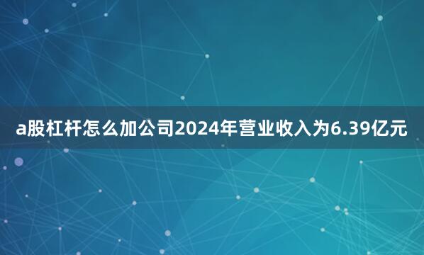 a股杠杆怎么加公司2024年营业收入为6.39亿元